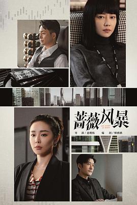 天衣无缝的她 封面图